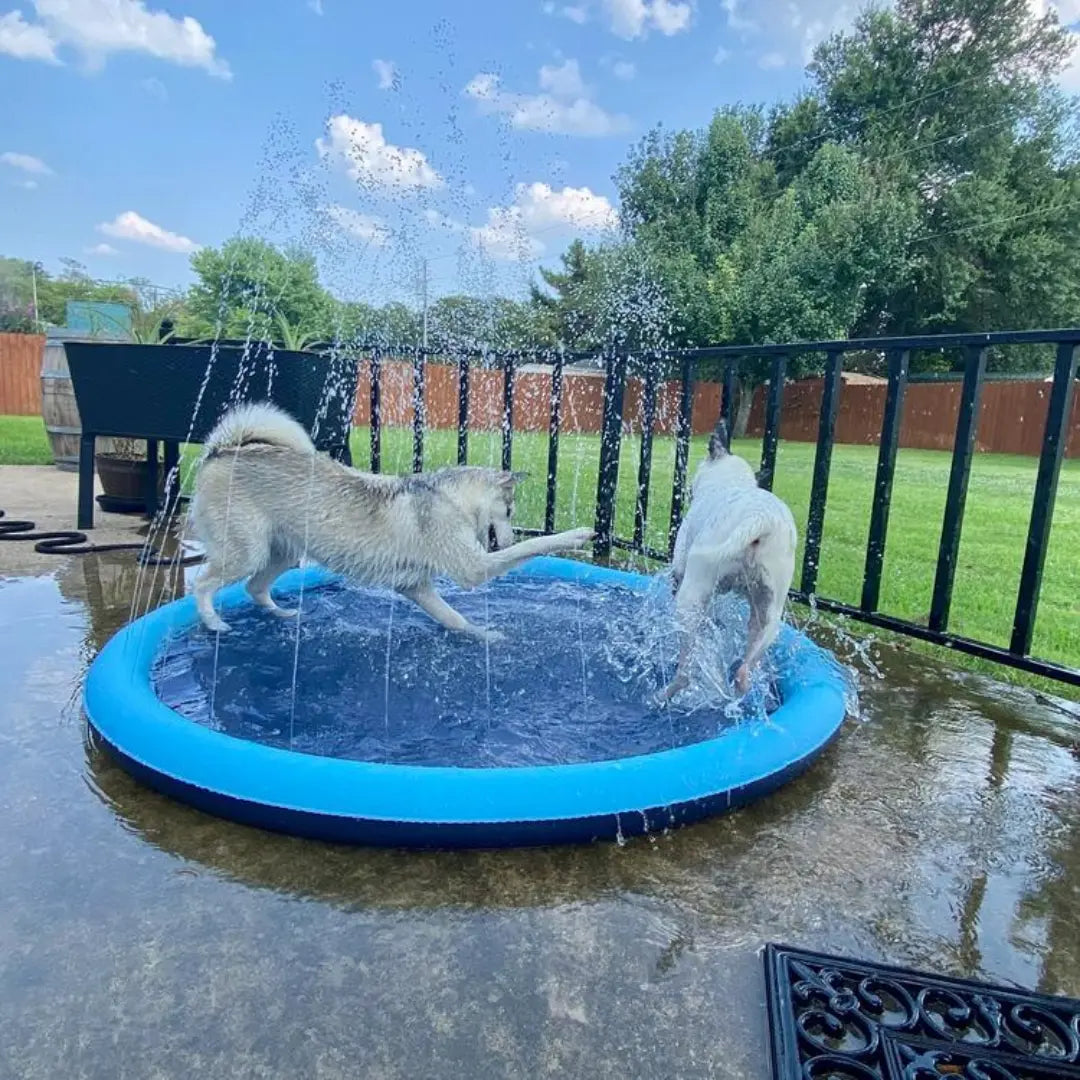 Piscina de chorros para perros grandes | La mejor piscina del verano